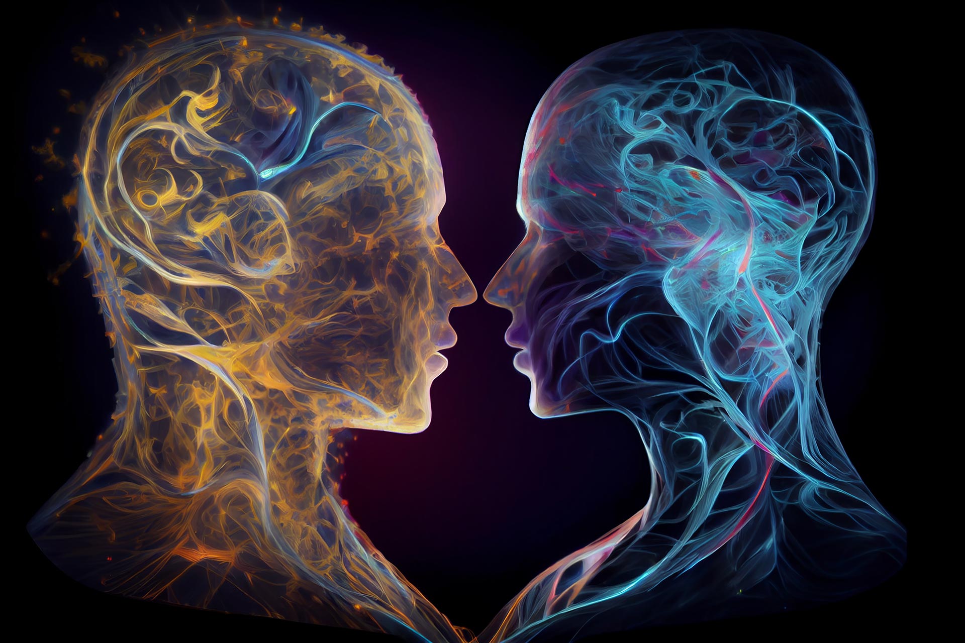 L’imagerie cérébrale pour montrer des différences entre les cerveaux mâles et femelles ?