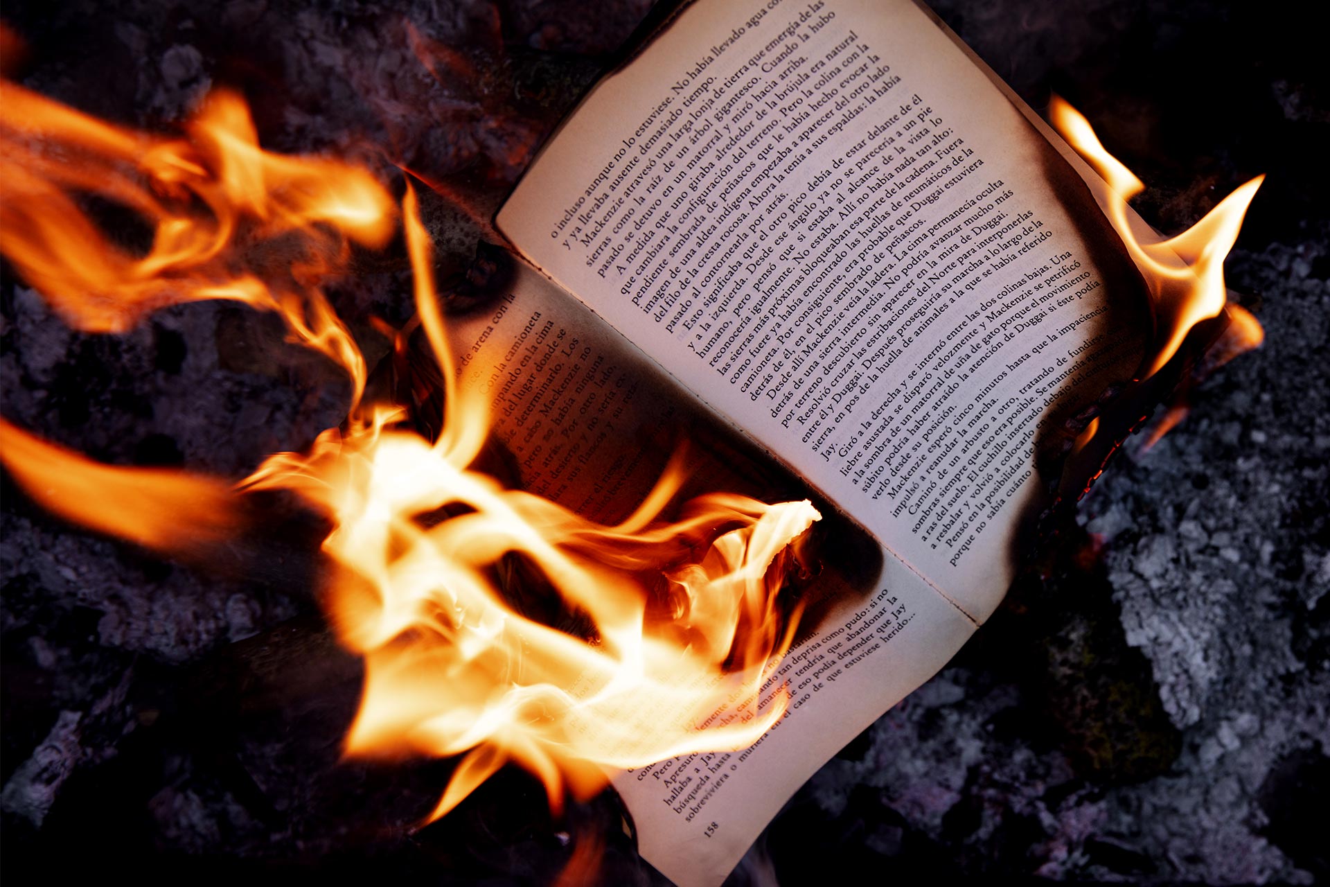 Historical revisionism: a disease of the far right and dictators (or those aspiring to be)